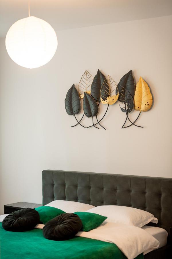 Coresi Vibe Studio Braşov Dış mekan fotoğraf