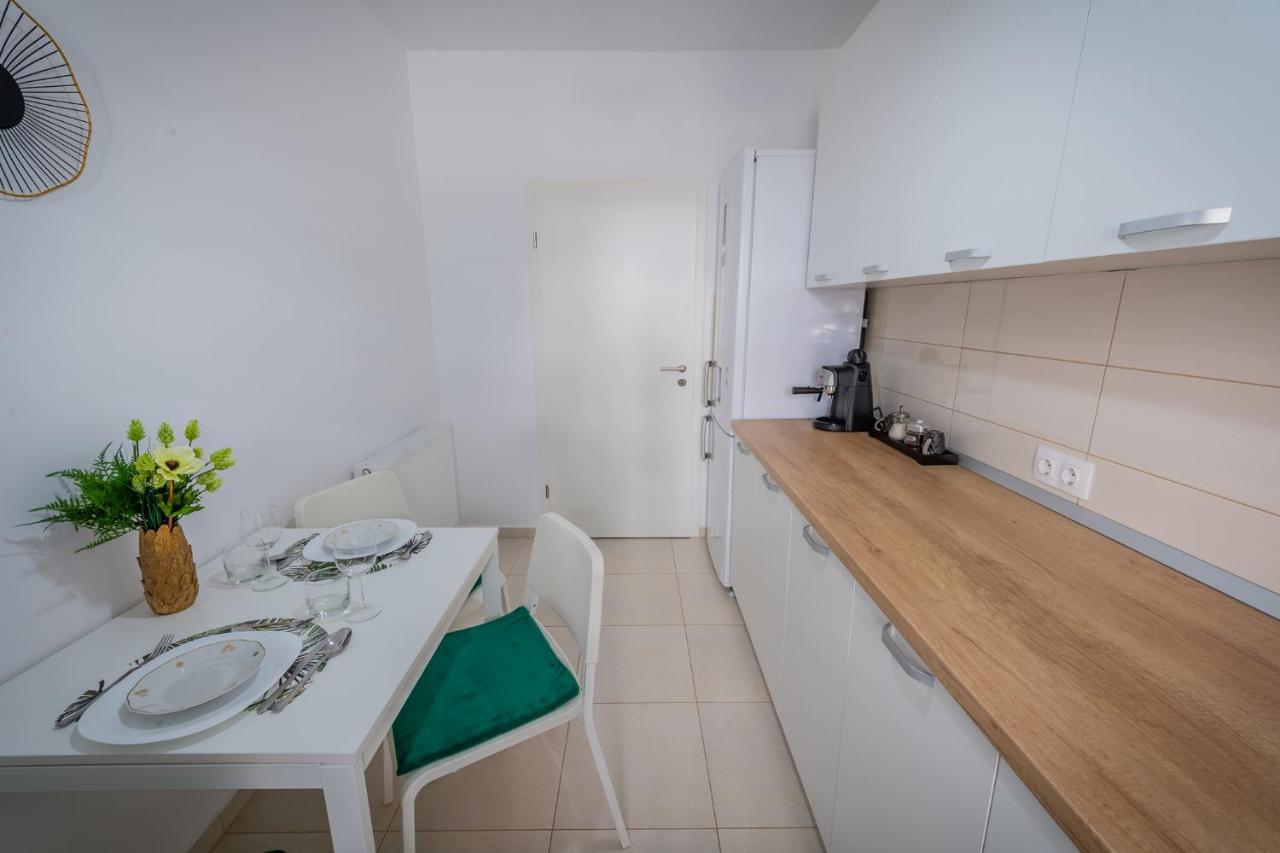 Coresi Vibe Studio Braşov Dış mekan fotoğraf