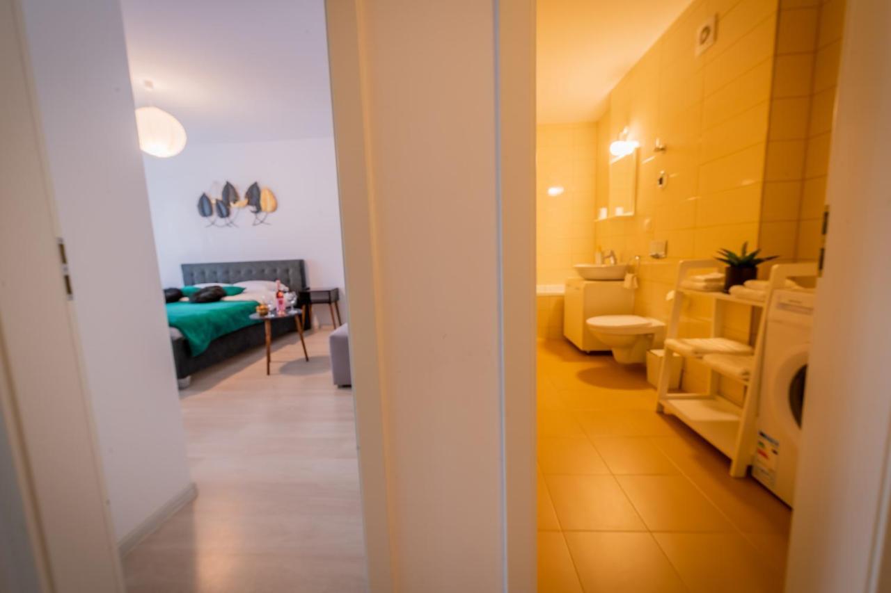 Coresi Vibe Studio Braşov Dış mekan fotoğraf