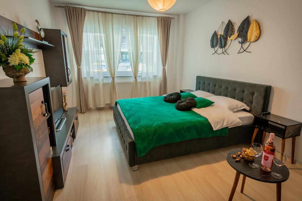 Coresi Vibe Studio Braşov Dış mekan fotoğraf