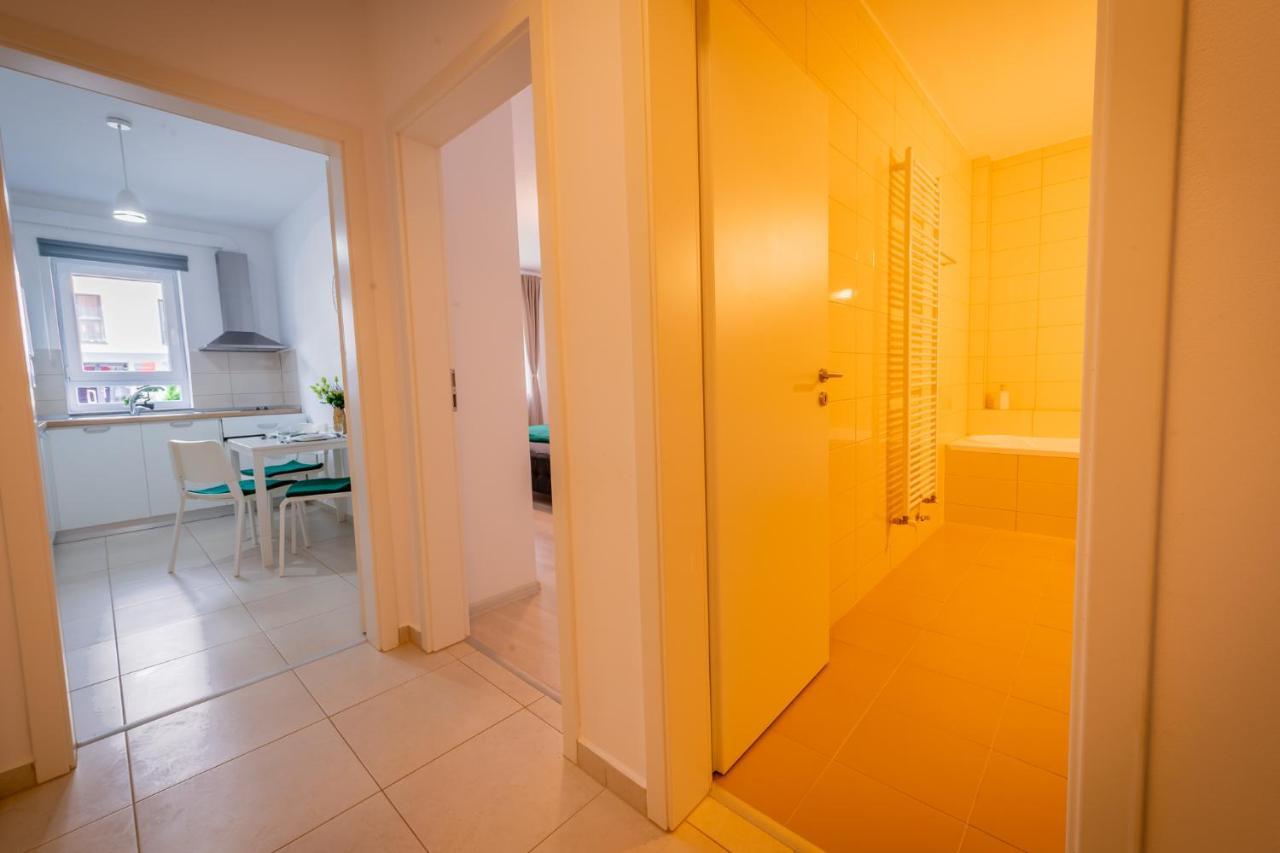 Coresi Vibe Studio Braşov Dış mekan fotoğraf