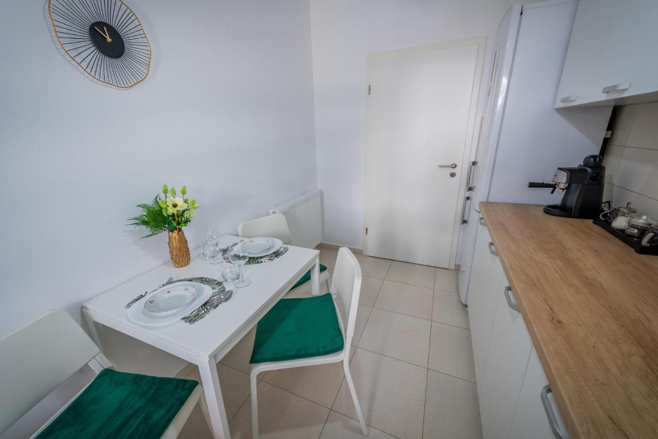 Coresi Vibe Studio Braşov Dış mekan fotoğraf